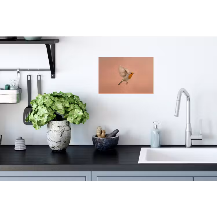 Roodborst - Natuur - Roze Muursticker klein -keuken