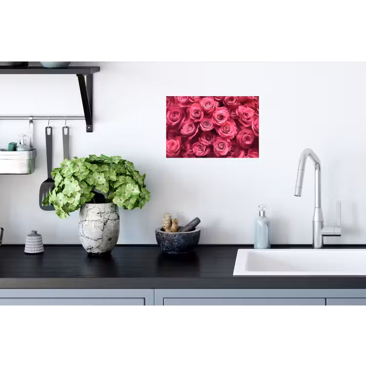 Rozen - Pink - Bloem Muursticker klein -keuken