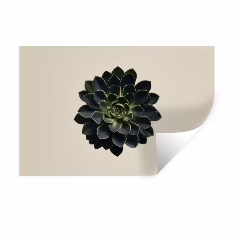 Rozet - Cirkelvormig - Donkergroen Muursticker klein -3d