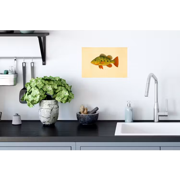 Schubben - Vis - Groen - Illustratie Muursticker klein -keuken
