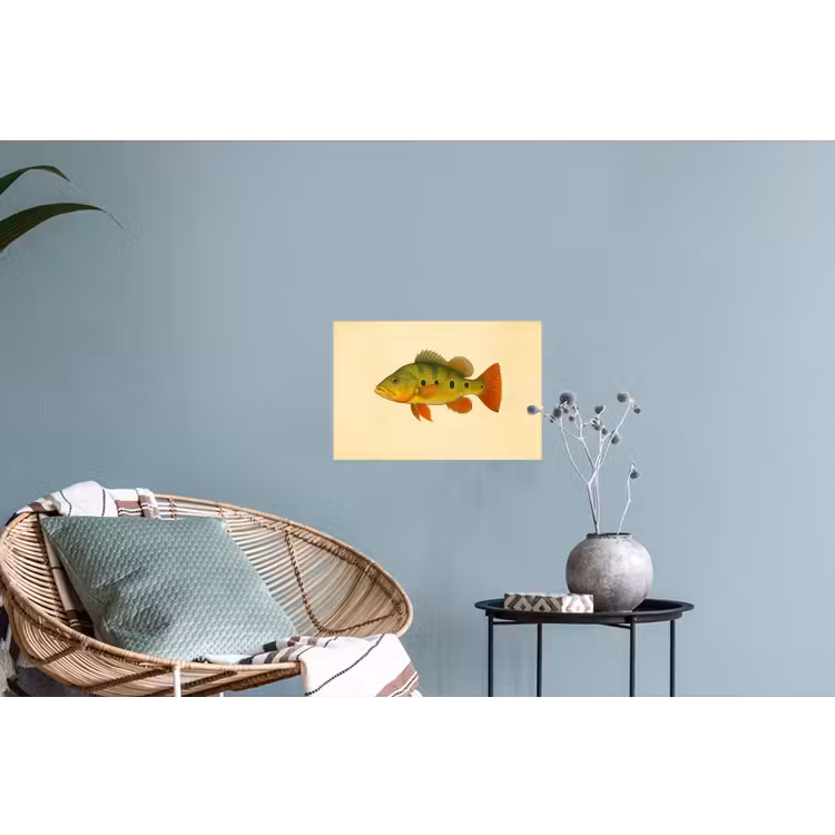 Schubben - Vis - Groen - Illustratie Muursticker klein -plant