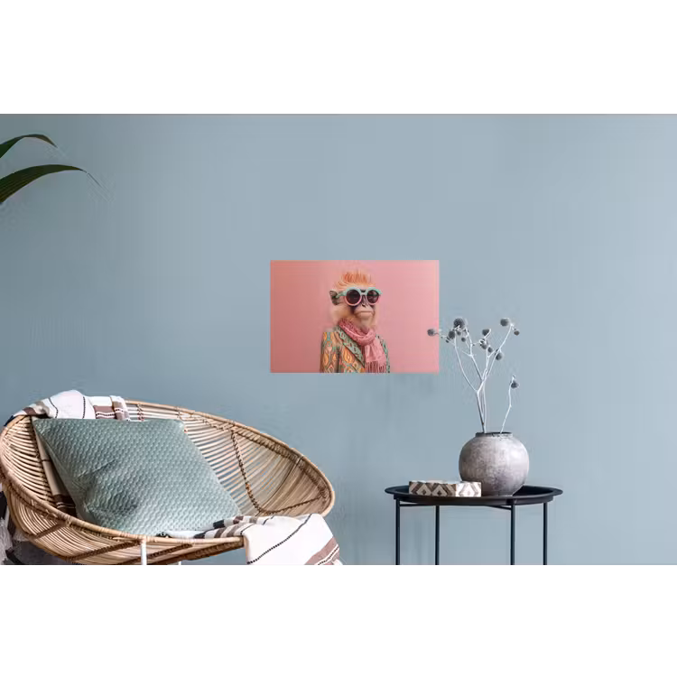 Sjaal - Aap - Zonnebril - Jasje Muursticker klein -plant