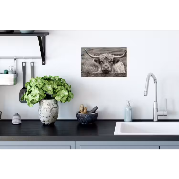 Schotse hooglander - Zwart - Wit - Hout Muursticker klein -keuken