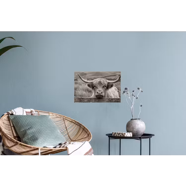 Schotse hooglander - Zwart - Wit - Hout Muursticker klein -plant