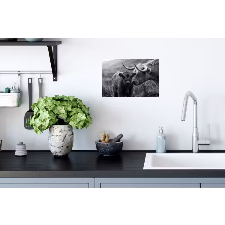 Schotse hooglander - Kalf - Zwart - Wit Muursticker klein -keuken