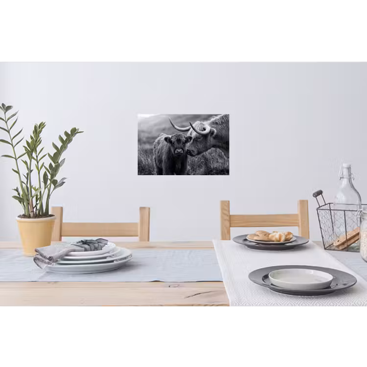 Schotse hooglander - Kalf - Zwart - Wit Muursticker klein -eettafel