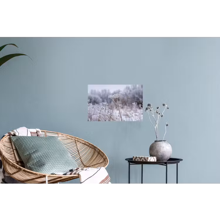 Schermbloem - Rijp - Kristallen - Winter - Delicaat Muursticker klein -plant