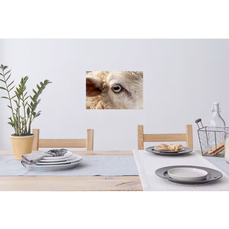 Schaap - Oog - Wit Muursticker klein -eettafel