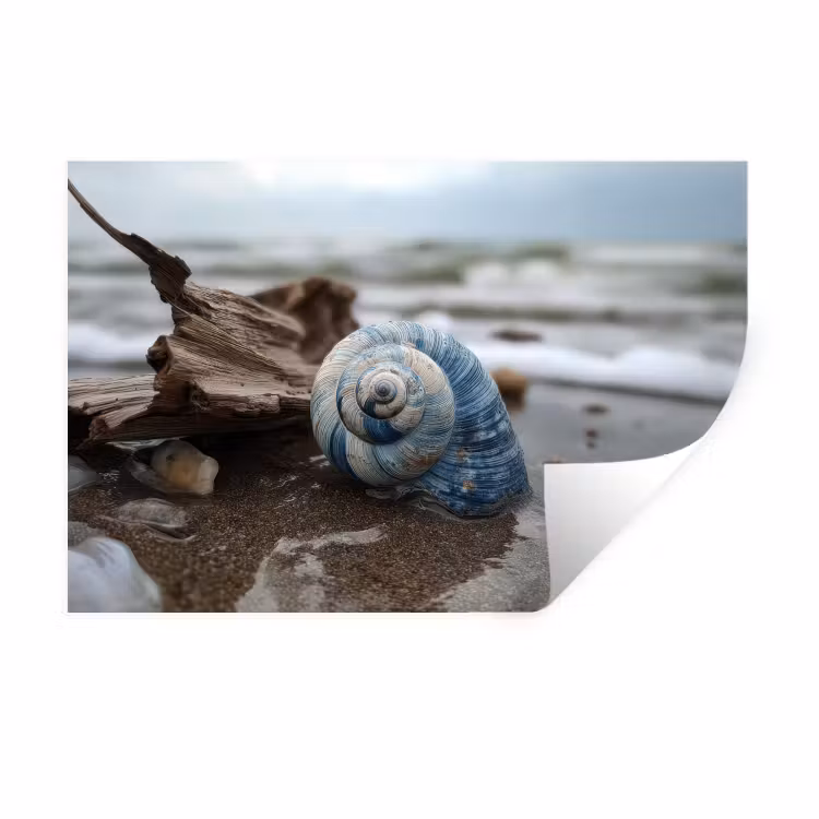 Schelp - Strand - Blauw - Zee Muursticker klein -3d