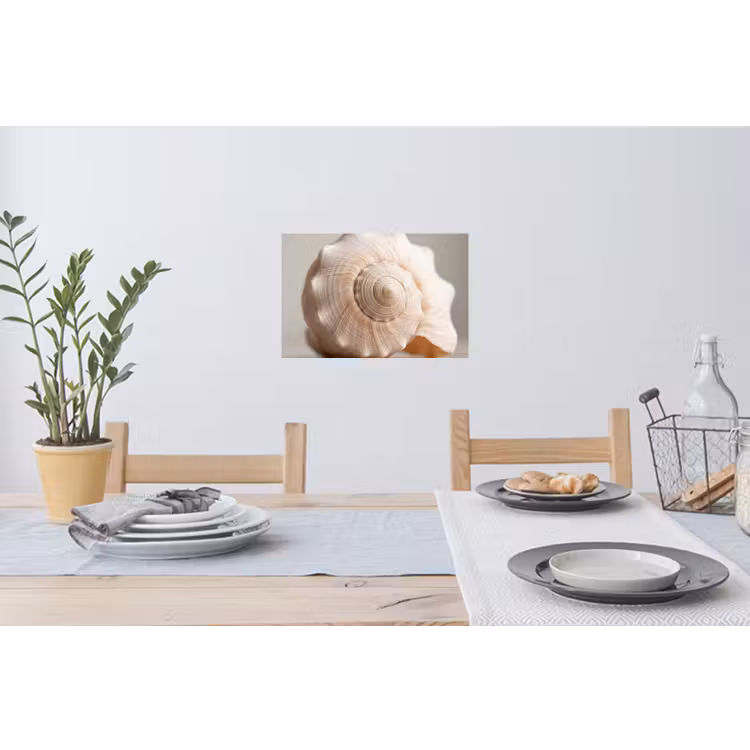 Schelp - Detail - Beige Muursticker klein -eettafel