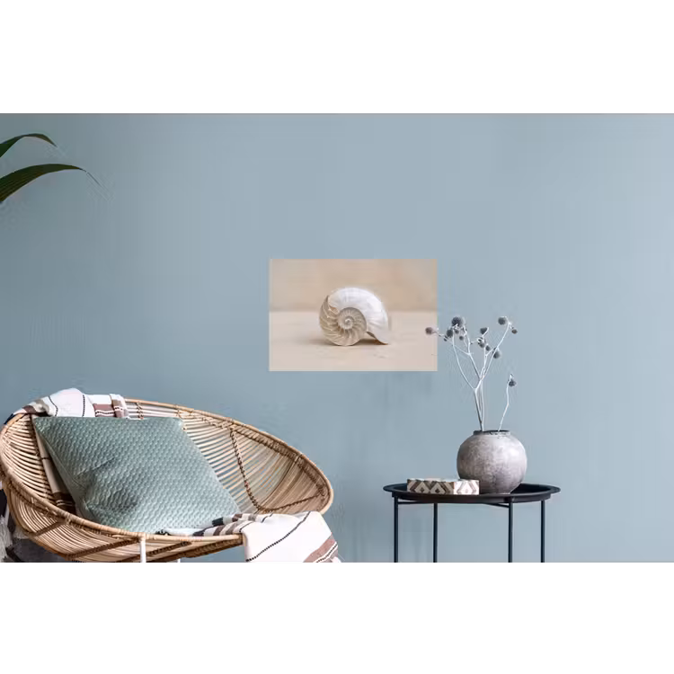 Schelp - Spiraal - Beige Muursticker klein -plant