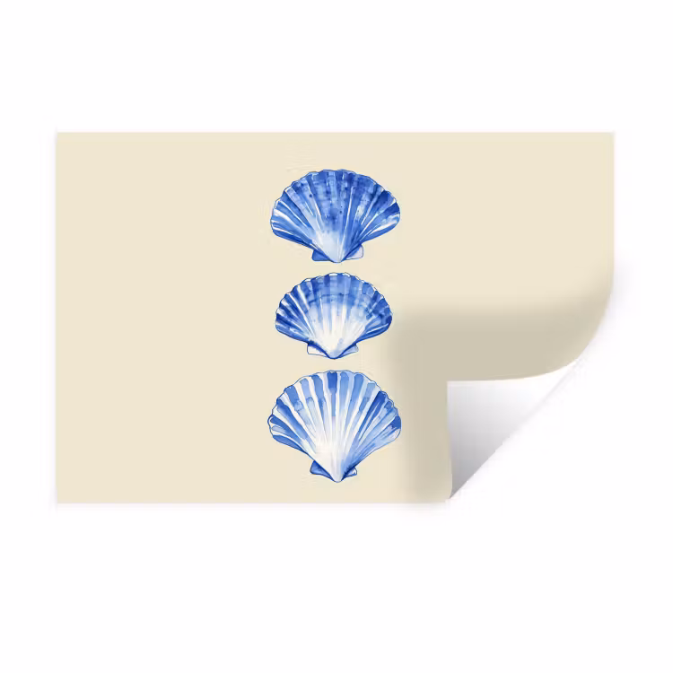 Schelpen - Blauw - Beige Muursticker klein -3d