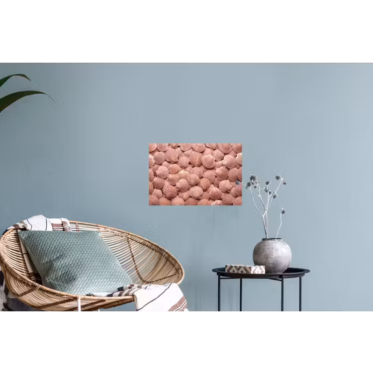 Schelpen - Patroon - Roze Muursticker klein -plant