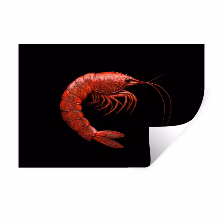 Garnaal - Rood - Dieren Muursticker klein -3d