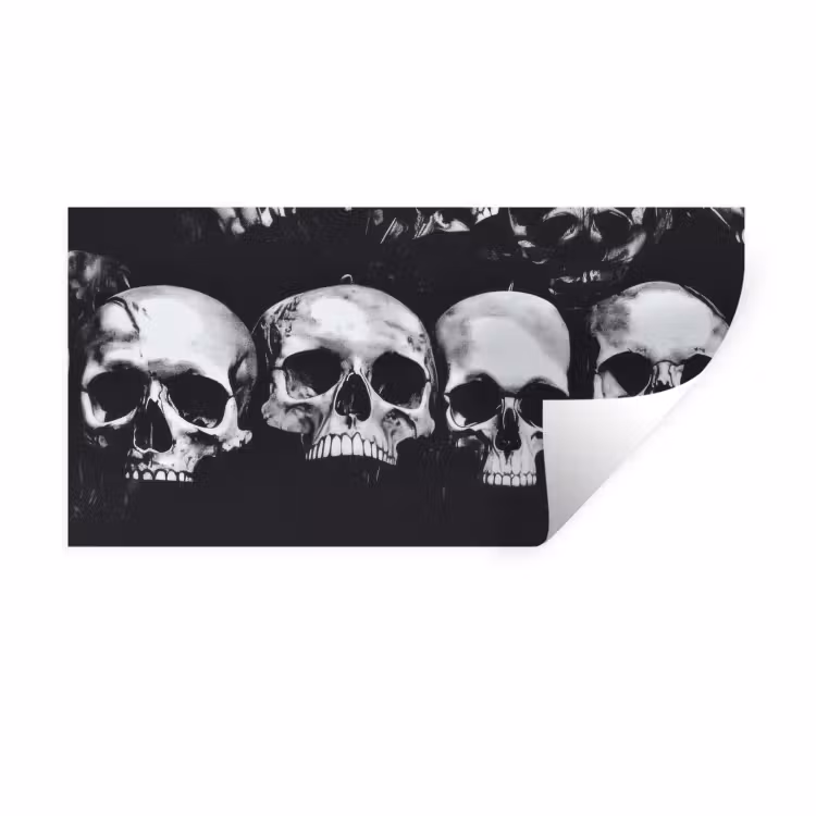 Schedels - Zwart - Contrast Muursticker klein -3d