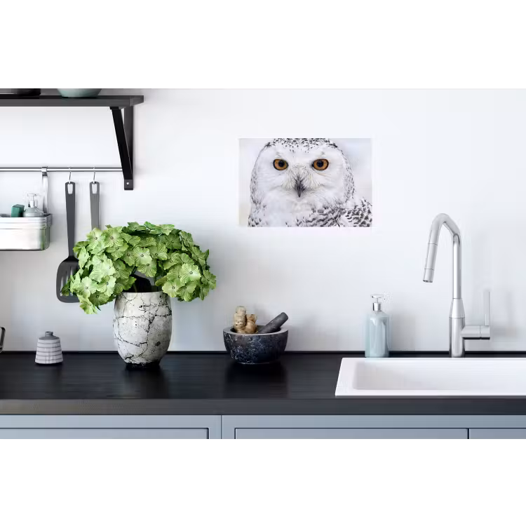 Sneeuwuil - Oog - Wildlife - Wit Muursticker klein -keuken
