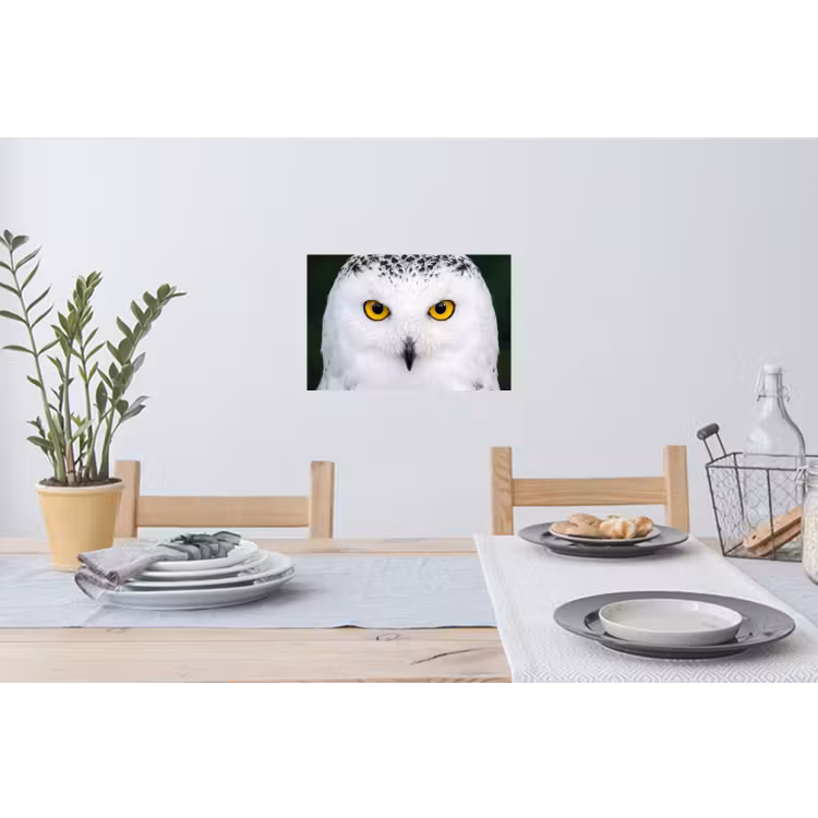 Sneeuwuil - Portret - Geel Muursticker klein -eettafel