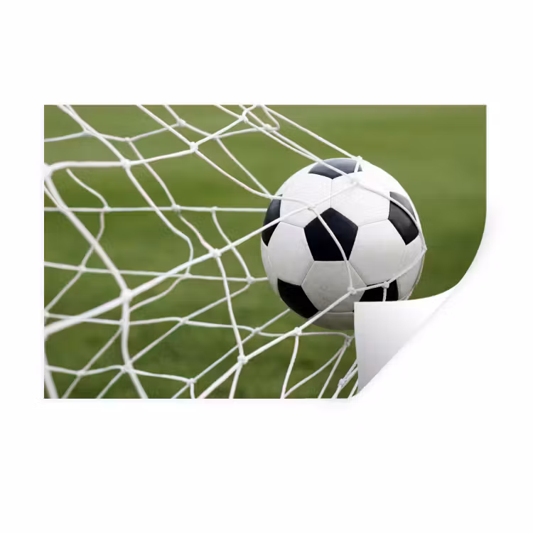 Voetbal - Goal - Net - Sport Muursticker klein -3d