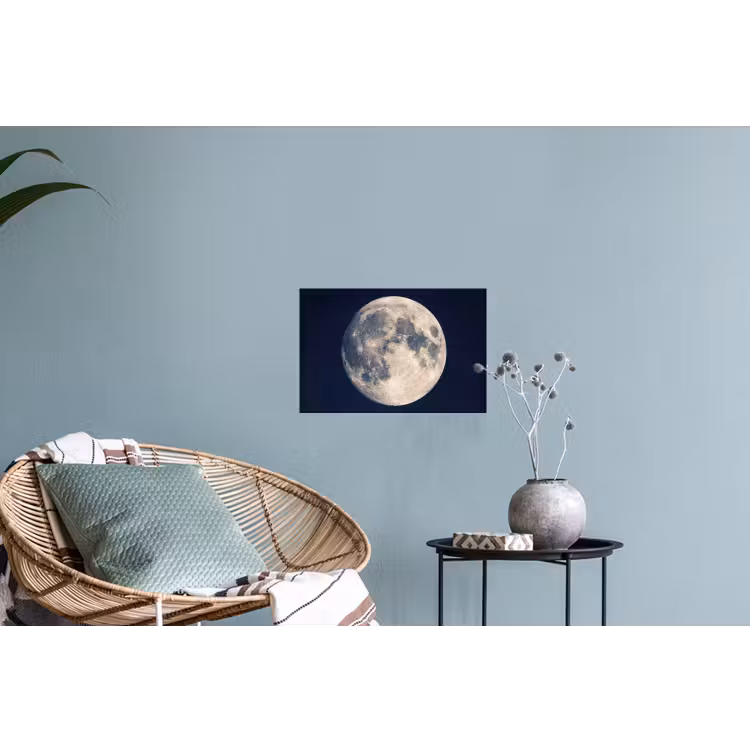 Ruimte - Maan - Kosmos Muursticker klein -plant
