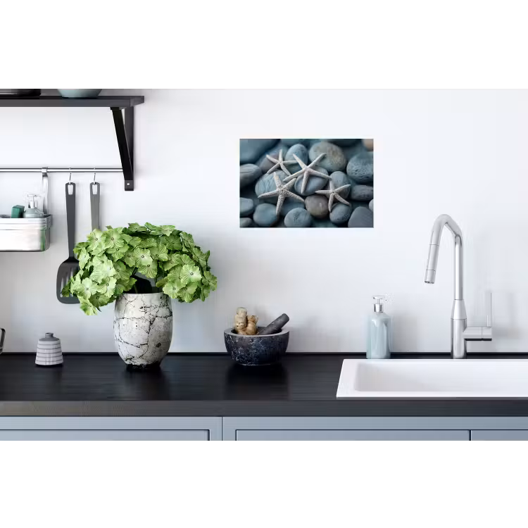 Zeesterren - Stenen - Wit Muursticker klein -keuken