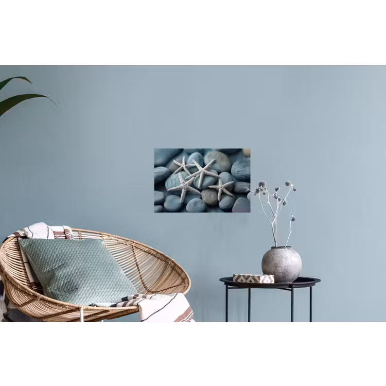 Zeesterren - Stenen - Wit Muursticker klein -plant