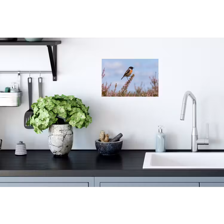 Roodborsttapuit - Heide - Paars - Natuur - Sfeervol Muursticker klein -keuken