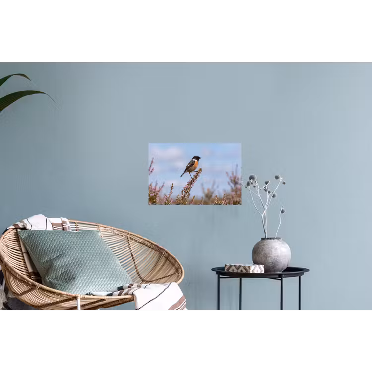 Roodborsttapuit - Heide - Paars - Natuur - Sfeervol Muursticker klein -plant