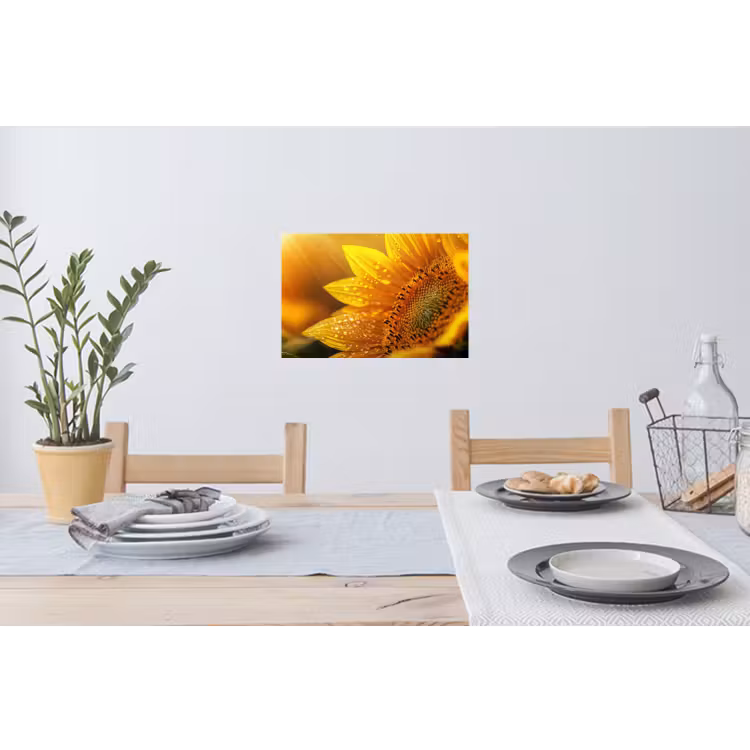 Zonnebloem - Dauwdruppels - Geel - Zonlicht Muursticker klein -eettafel