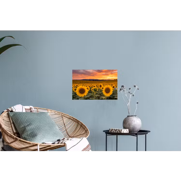 Zonnebloemen - Heuvellandschap - Geel Muursticker klein -plant