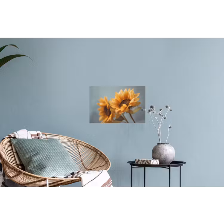 Zonnebloemen - Geel - Wazig Muursticker klein -plant