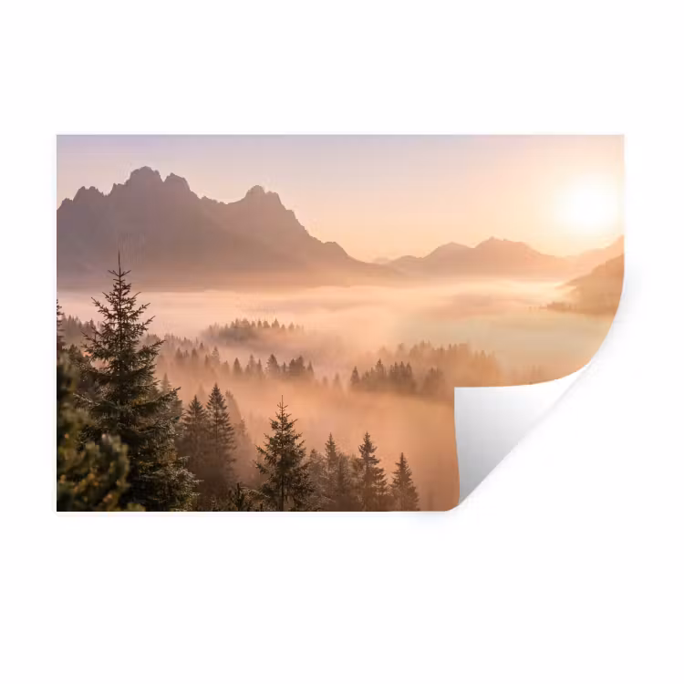 Zonlicht - Mist - Bergen - Bomen Muursticker klein -3d