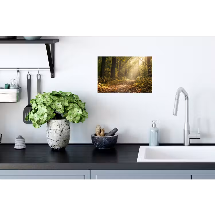 Zonlicht - Bospad - Bomen Muursticker klein -keuken