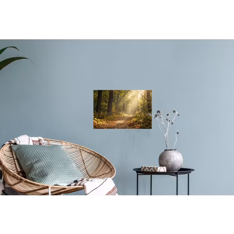 Zonlicht - Bospad - Bomen Muursticker klein -plant