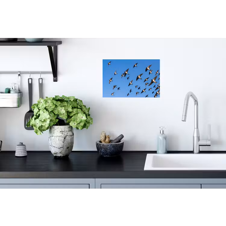 Zwaluwen - Vliegen - Blauw Muursticker klein -keuken