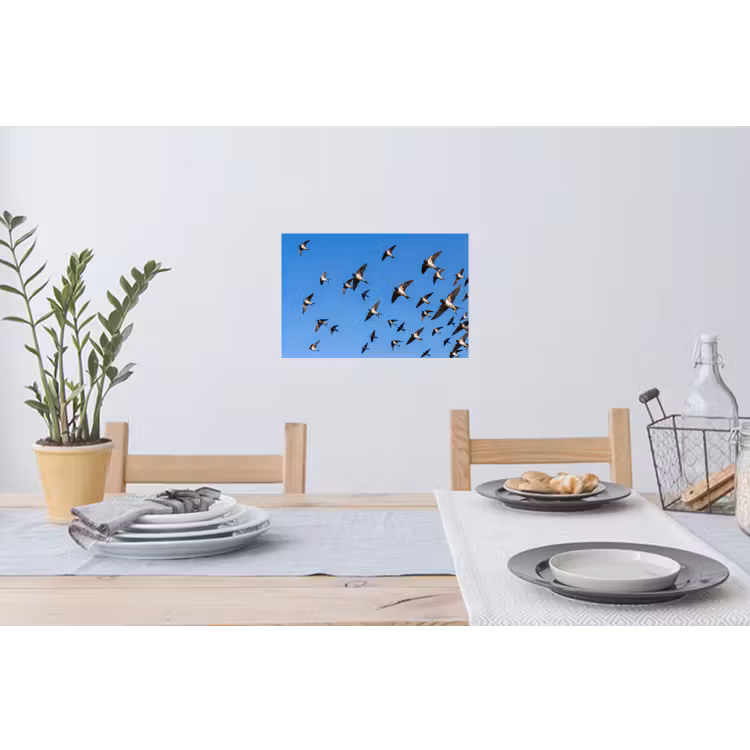 Zwaluwen - Vliegen - Blauw Muursticker klein -eettafel