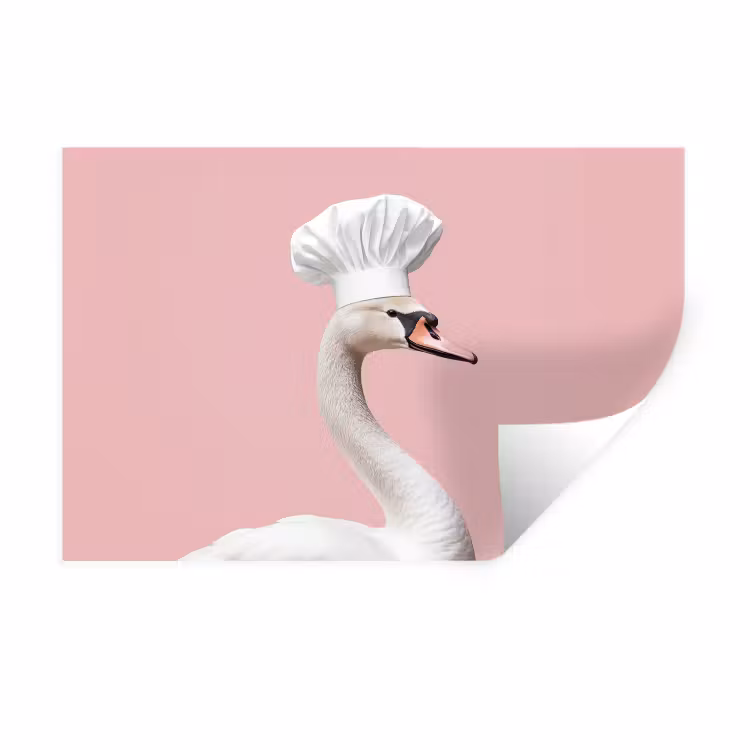Zwaan - Koksmuts - Mooi - Klassiek Muursticker klein -3d