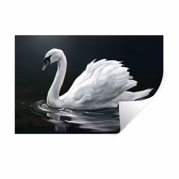 Zwaan - Water - Natuur - Realistisch - Wit Muursticker klein -3d