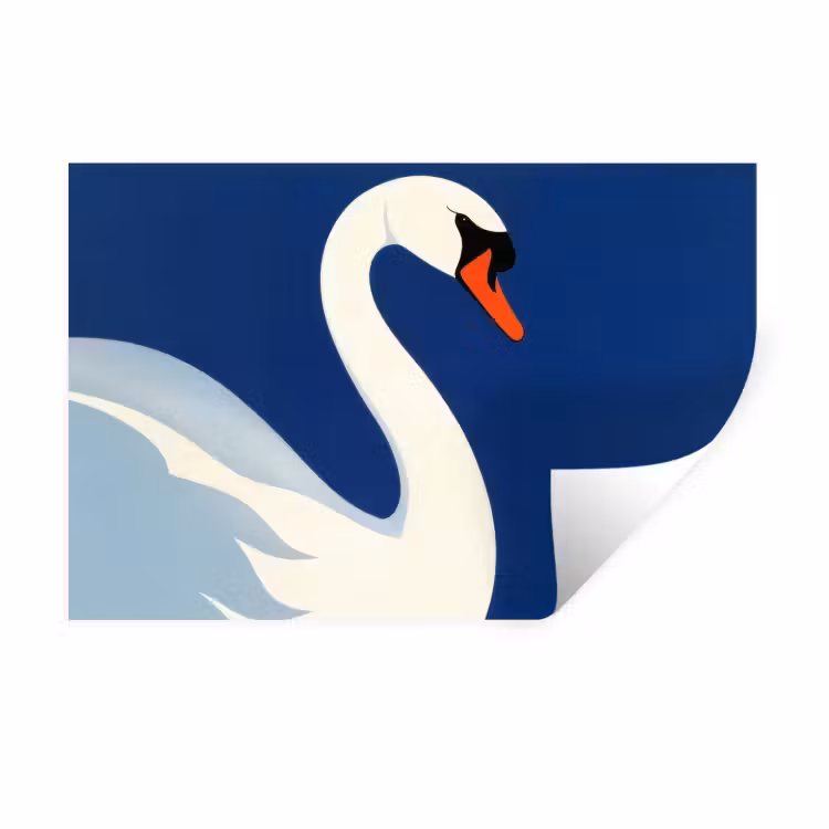 Zwaan - Wit - Snavel - Illustratie Muursticker klein -3d