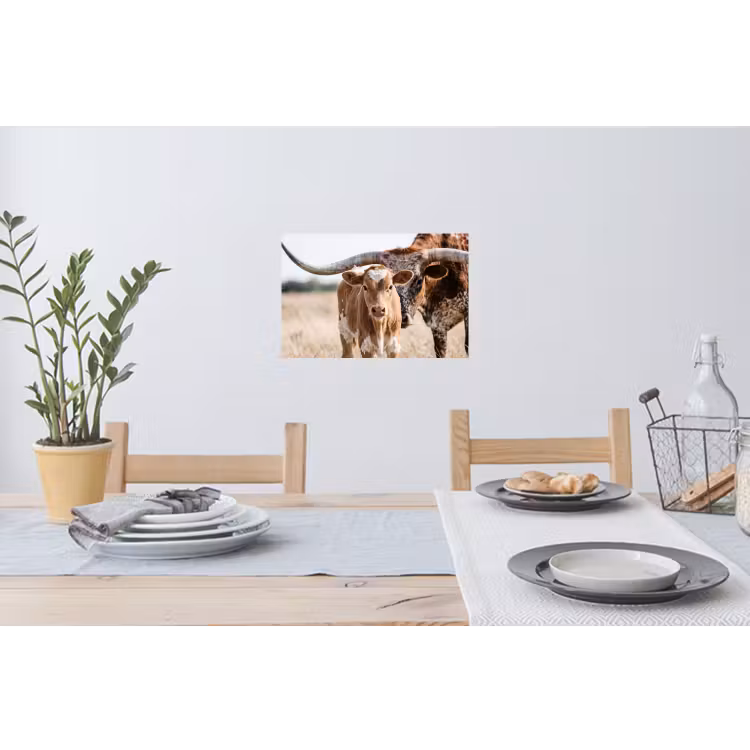 Texas Longhorn - Kalf - Weide - Dieren Muursticker klein -eettafel