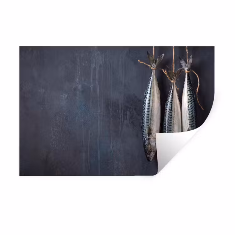 Wall Sticker - Three Fish - Rope - Drie vissen - Touw Muursticker klein