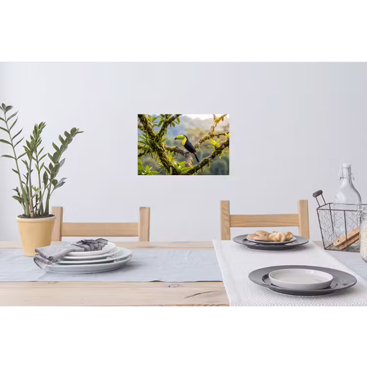 Toekan - Jungle - Natuur - Kleurrijk Muursticker klein -eettafel