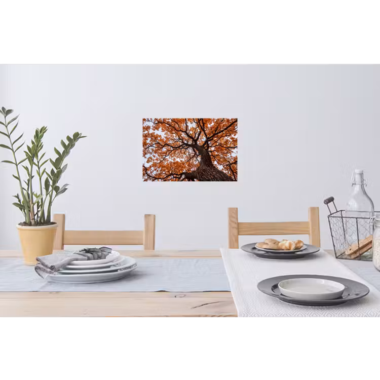 Boom - Bladerdak - Herfst - Oranje - Sfeervol Muursticker klein -eettafel
