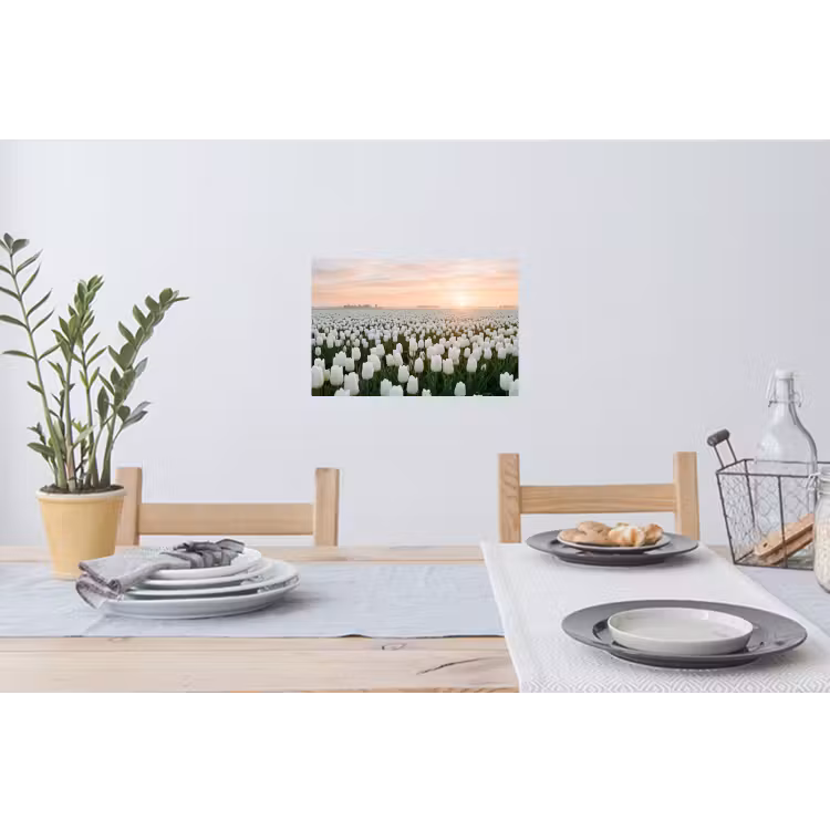 Tulpen - Landschap - Wit Muursticker klein -eettafel