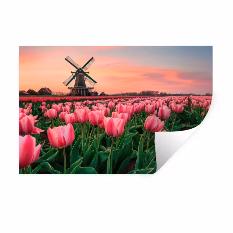 Tulpen - Molen - Nederland Muursticker klein -3d