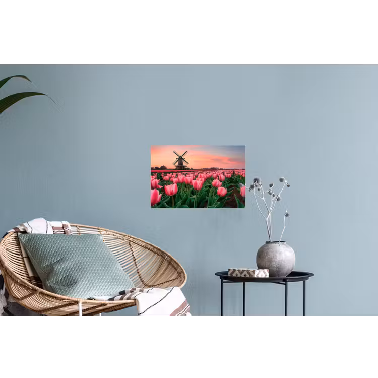 Tulpen - Molen - Nederland Muursticker klein -plant