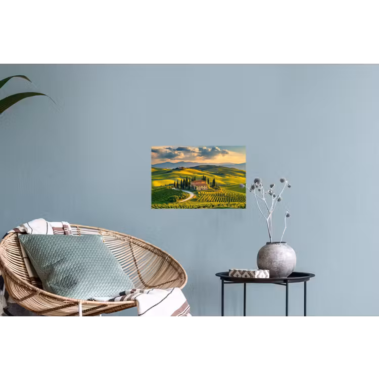 Toscane - Landschap - Wijngaarden Muursticker klein -plant