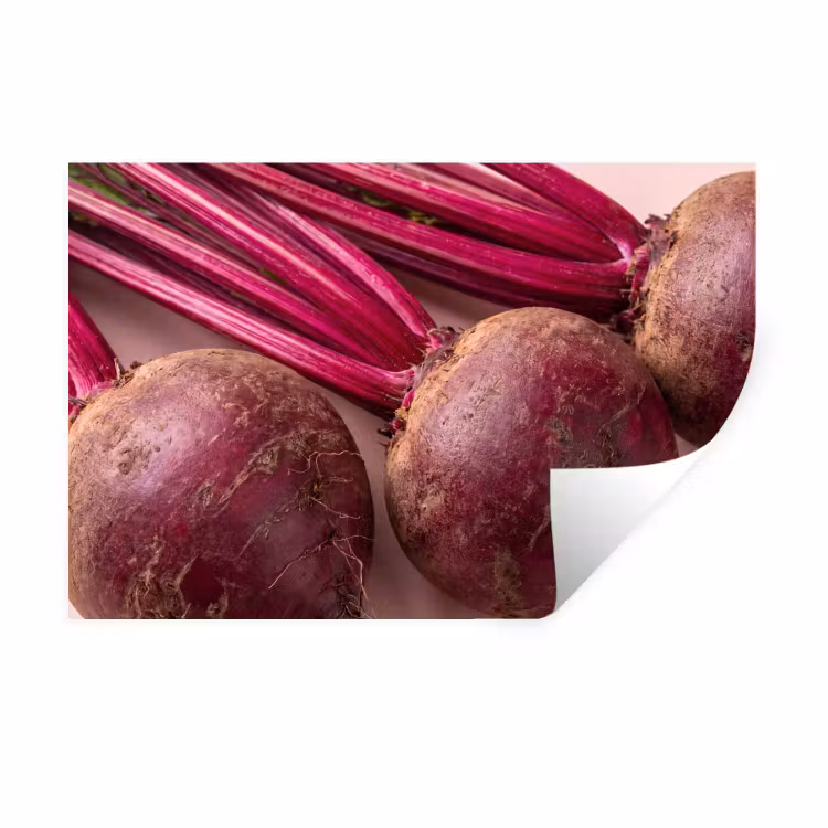 Wall Sticker - Vegetables - Red - Fresh - Groente - Rood - Vers Muursticker klein
