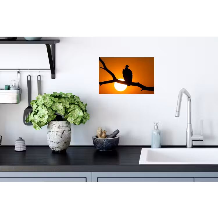 Gier - Tak - Zon - Oranje Muursticker klein -keuken