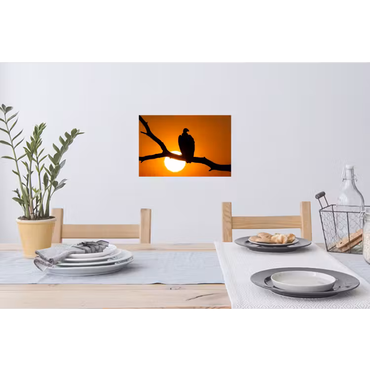 Gier - Tak - Zon - Oranje Muursticker klein -eettafel