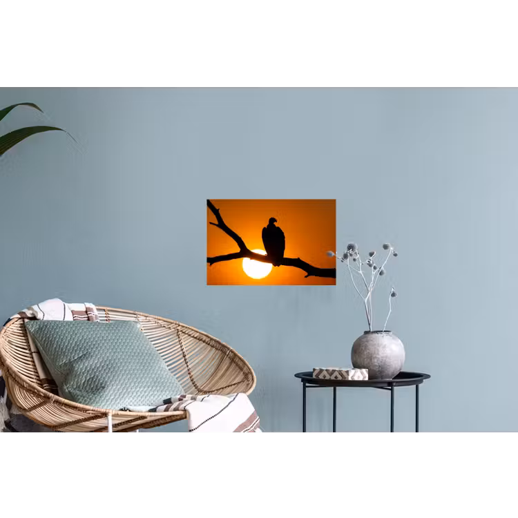 Gier - Tak - Zon - Oranje Muursticker klein -plant